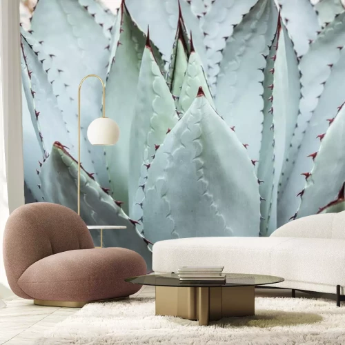 Sticker grote groene vetplant met doorn