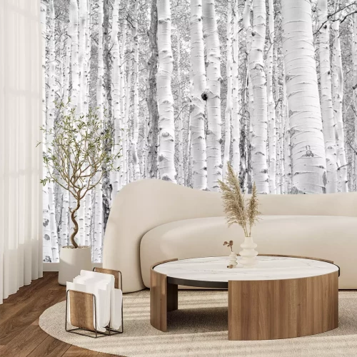 Sticker Zwart-wit tekening van berkenstammen