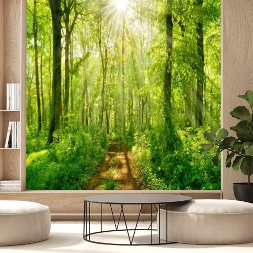 Fotobehang De zon boven het bospad