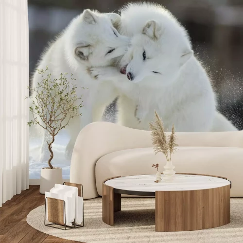 Fotobehang Witte spelende vossen