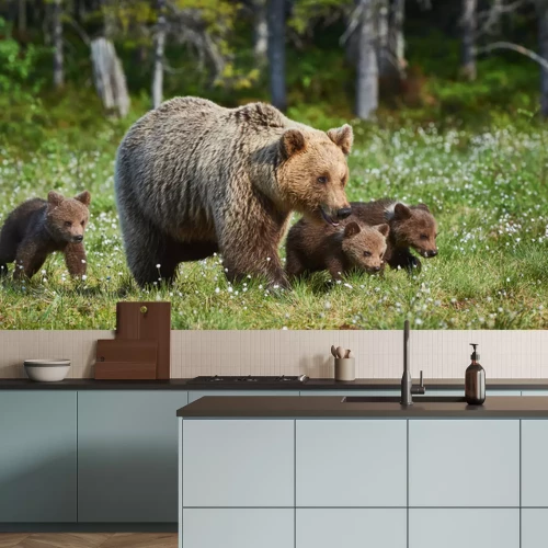 Fotobehang Een berenfamilie op een open plek in het bos
