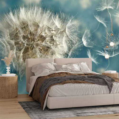 Fotobehang Paardenbloem en zijn zaden in de wind