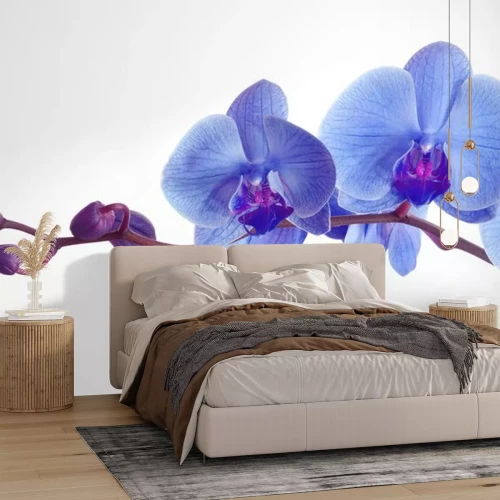 Sticker Blauwe bloemen op een tak