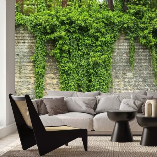 Fotobehang Groene klimop op een stenen muur