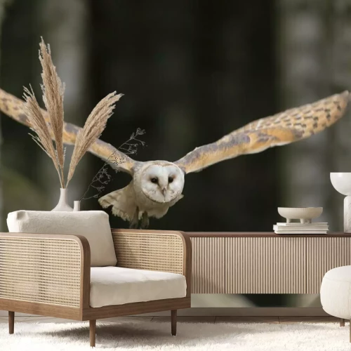 Fotobehang Uil met gespreide vleugels