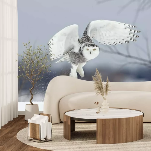 Fotobehang Uil vliegt over de sneeuw