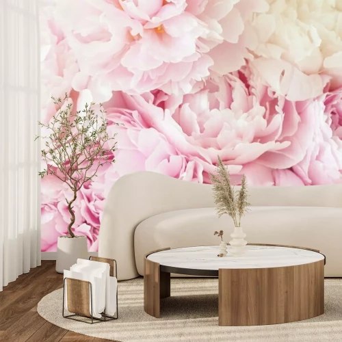 Fotobehang Macrofotografie van roze pioenroosblaadjes