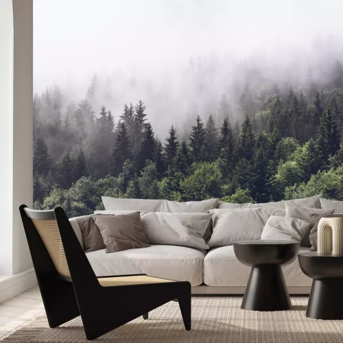 Fotobehang Beboste berghelling in laaggelegen wolk met de groenblijvende coniferen gehuld in mist in een schilderachtig landschapsmening