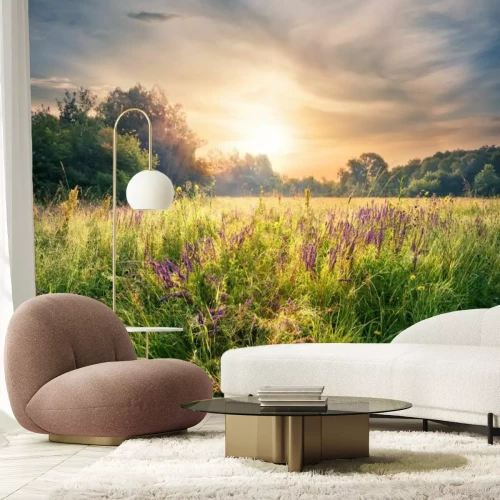 Fotobehang Een bloemenweide in het licht van de ochtendzon