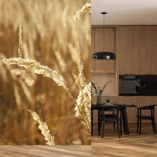 Fotobehang Wilde grassen als natuur