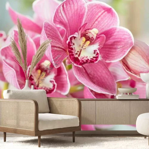 Fotobehang Roze orchidee op een lichte achtergrond in minimalistische stijl