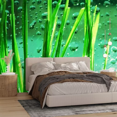 Fotobehang Groen gras op de achtergrond van water