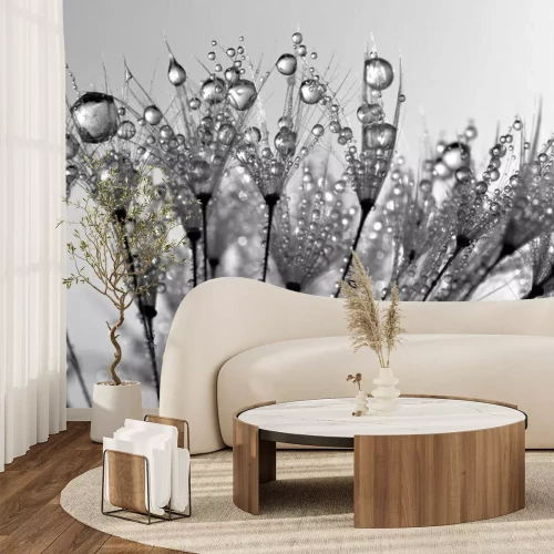 Fotobehang Paardenbloem met druppels