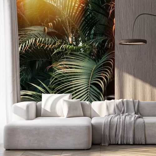 Fotobehang Palmbomen in de zon