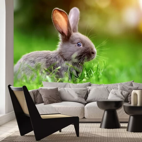 Sticker Konijntje in groen gras