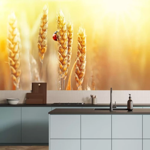 Sticker Lieveheersbeestje op een gouden tarweaar