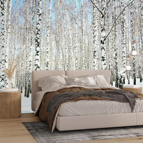 Fotobehang Sneeuw op berken