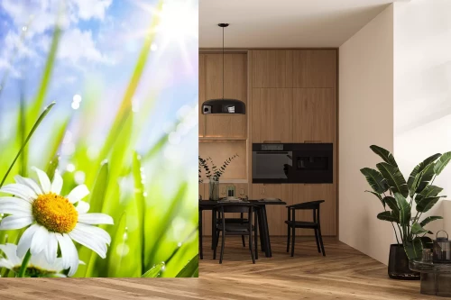 Visualisatie van het product