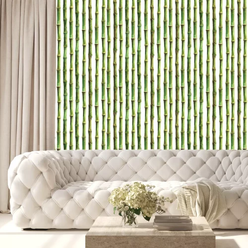 Behang Mooie bamboe tekening