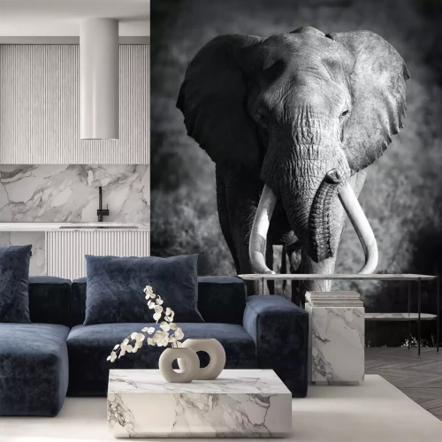 Fotobehang Monochroom olifant motief