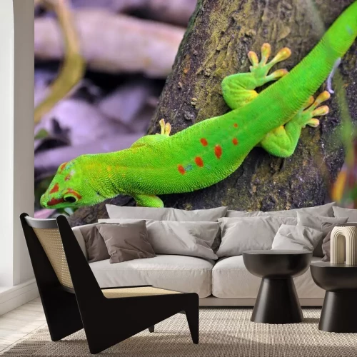 Sticker Madagascar daggekko ..