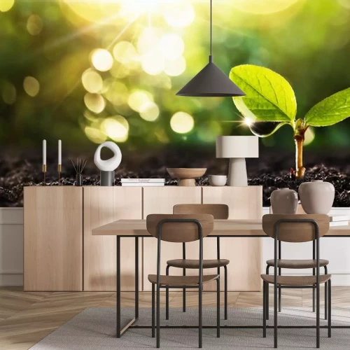 Sticker Jonge plant in zonlicht