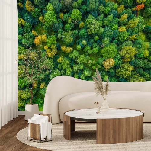 Fotobehang Luchtfoto van herfst bomen. Kleurrijke bomen van bovenaf.