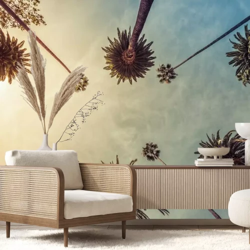 Fotobehang Hoge palmbomen tegen de lucht