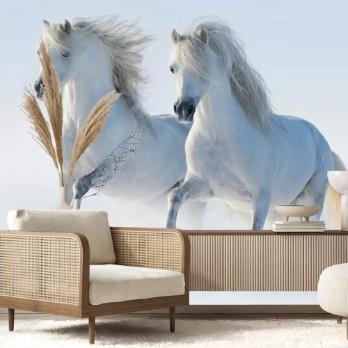 Fotobehang Twee galopperende paarden