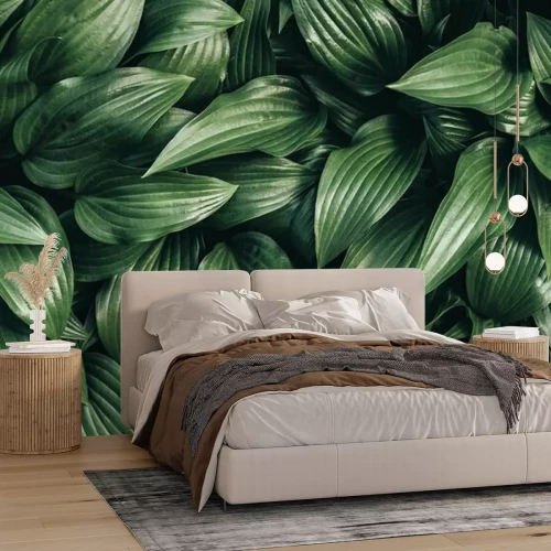 Fotobehang Bladeren uit de tropen