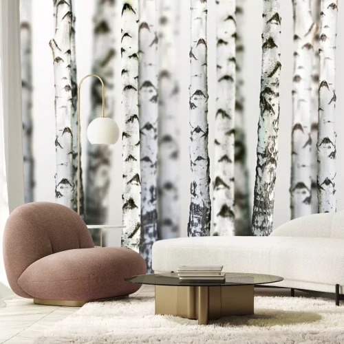 Fotobehang Bomen in een berkenbos
