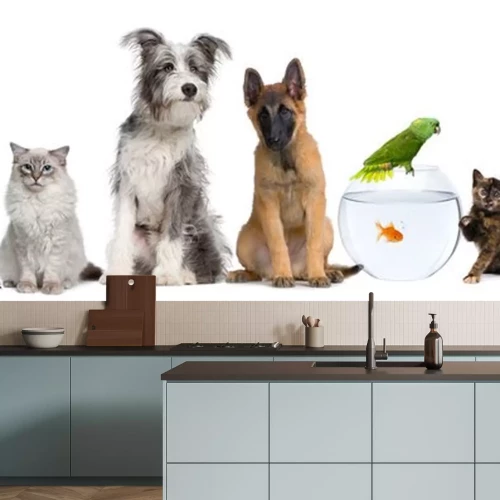 Sticker Groep huisdieren met hond, kat, konijn, fret, vis, kikker, rat