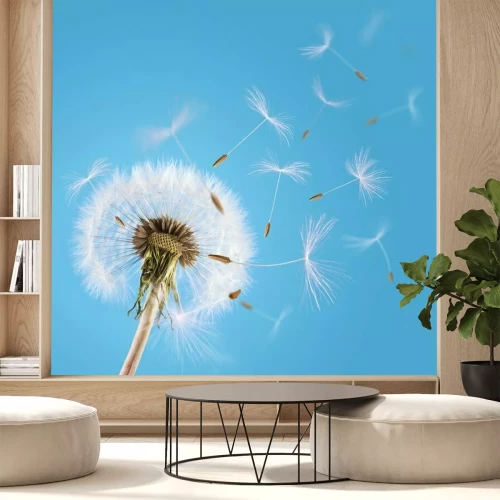 Fotobehang Paardenbloem en blauwe lucht