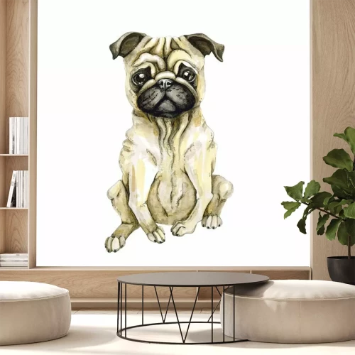 Sticker Mooie hond van pug ras. Puppy dat op witte achtergrond wordt geïsoleerd