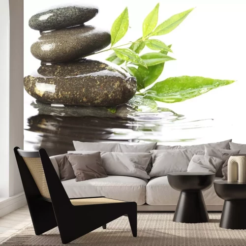 Sticker Stenen in het water