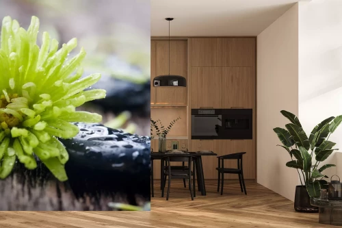 Visualisatie van het product