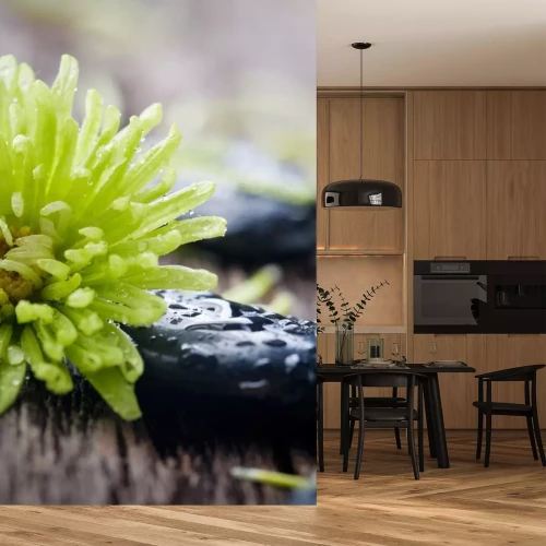 Sticker Stenen met water druppels