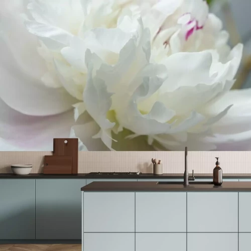 Fotobehang Witte pioen macro