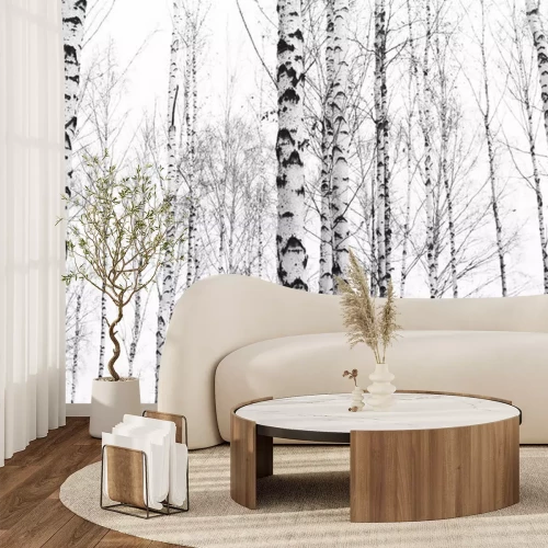 Fotobehang Zwart-witte berkenbomen in het bos