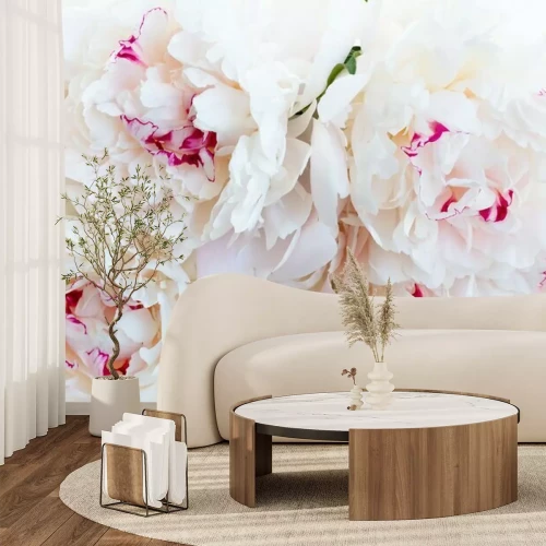 Fotobehang Verse pioenrozen