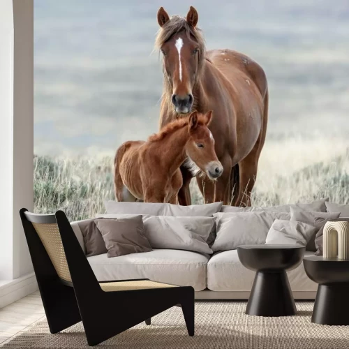 Fotobehang Paard en veulen op een weide