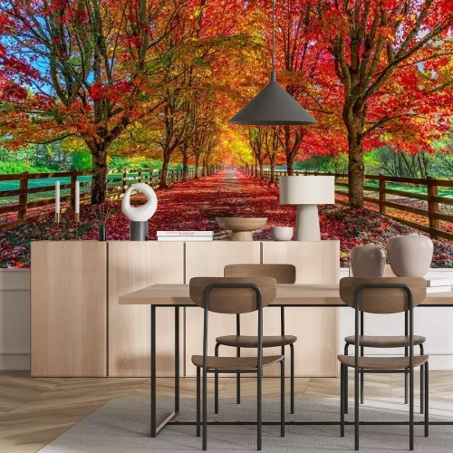 Fotobehang Een steegje tussen herfstbomen