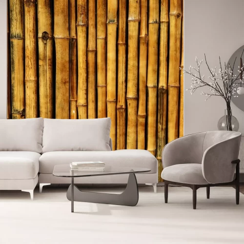 Fotobehang Bruine stengels van bamboe