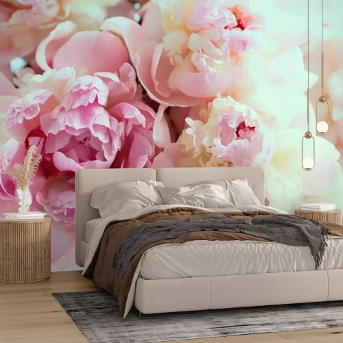 Fotobehang Bloeiende roze pioenrozen