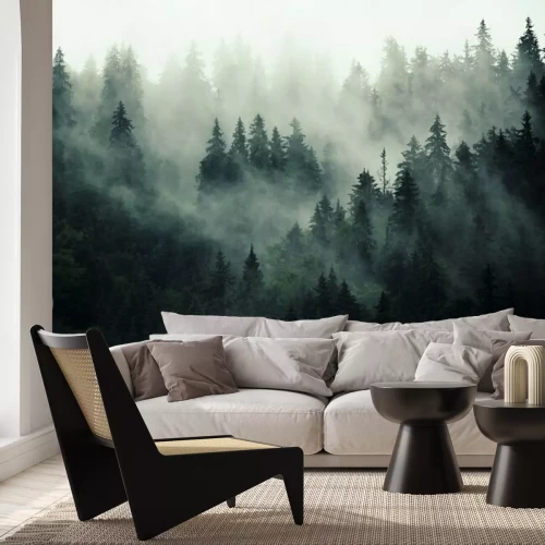 Fotobehang Duisternis in het bos