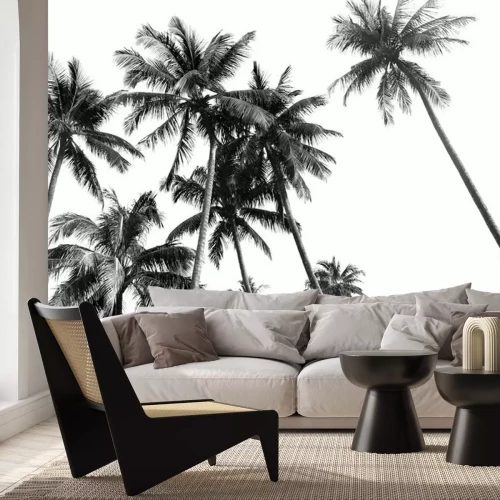 Fotobehang Palmbomen in zwart en wit