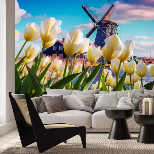 Fotobehang Witte tulpen tegen de achtergrond van een molen