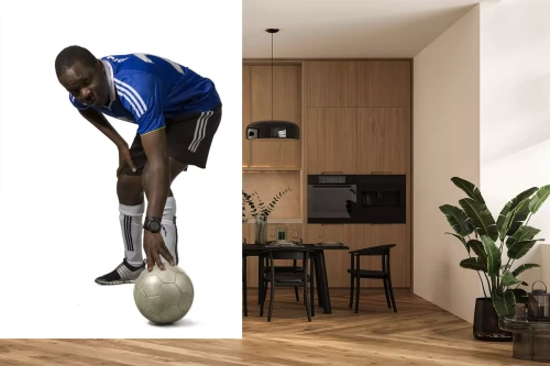 Visualisatie van het product