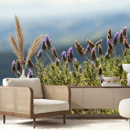 Fotobehang Heide op een wazige achtergrond