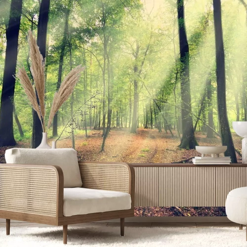 Fotobehang Een bos met zonnestralen die door de bladeren schijnen